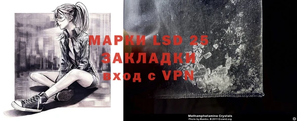 мяу мяу мука Корсаков