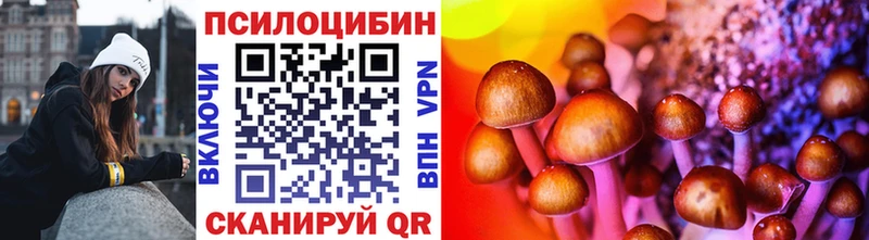 где купить наркоту  Елизаветинская  сайты даркнета наркотические препараты  Галлюциногенные грибы ЛСД 