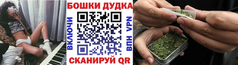 Бошки марихуана Amnesia  Елизаветинская 